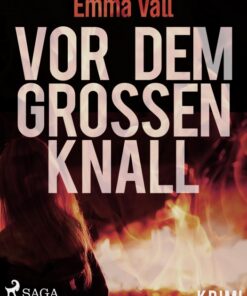 Vor dem groÃen Knall (E-bog)